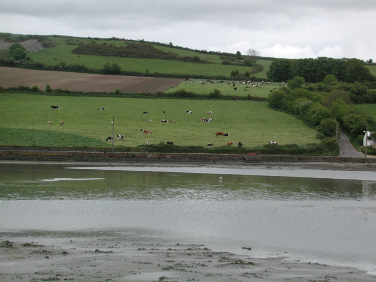 Clonakilty Bay 2.jpg 371.5K